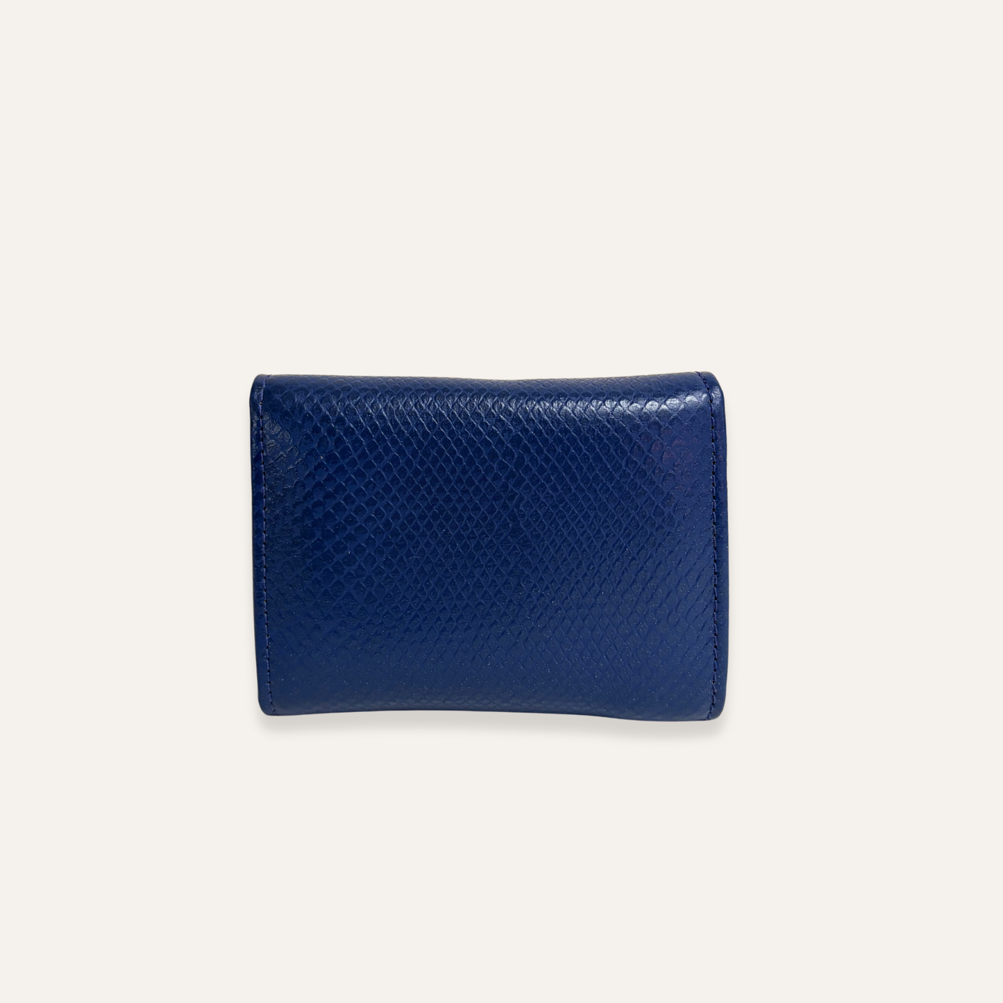 Billetera pequeña azul con plateado